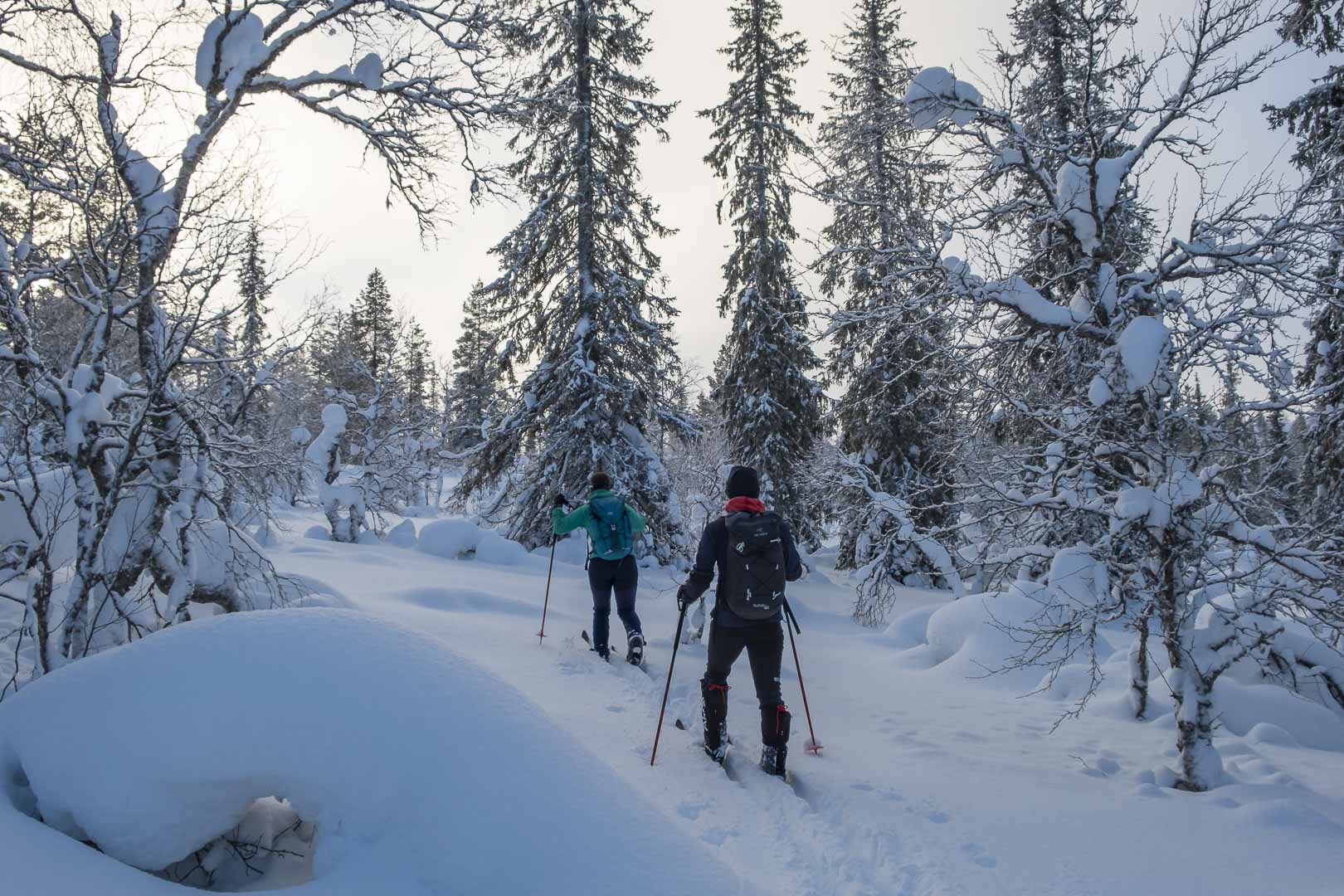 Winterabenteuer Lappland Wintertraum Winteraktivitäten Hundeschlitten Skitrekking Skiwandern Backcountry Ski Schneeschuhwandern Schneeschuh Fatbike