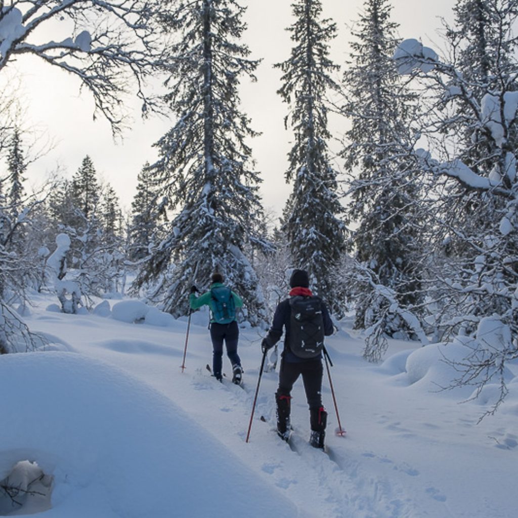 Wintertraum Lappland Erlebniswoche Finnland Faszination Unterwegs Hundeschlitten Husky Fatbike Skitrekking Backcountry Ski Langlaufen Schneeschuh
